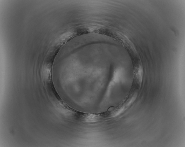 X0000113220527200909101152