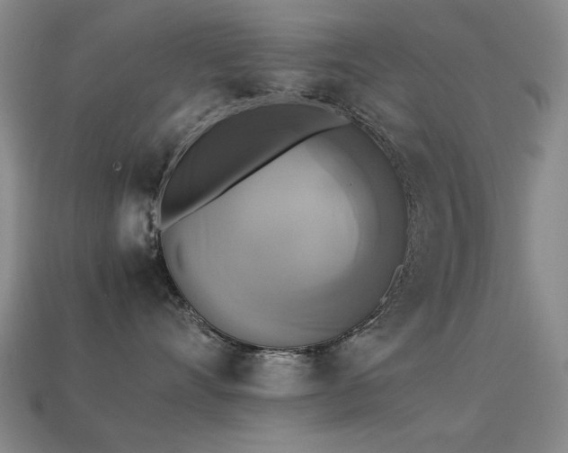 X0000113220528200909101152