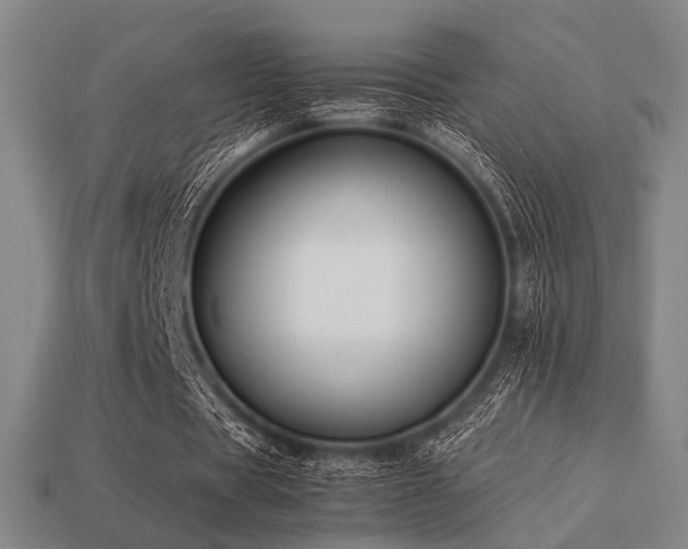 X0000113220529200909101152
