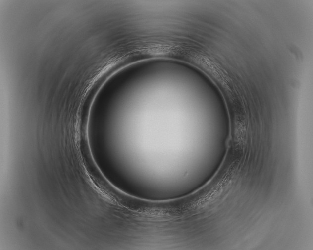 X0000113220530200909101152