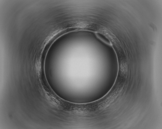 X0000113220532200909101152