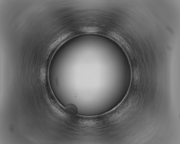 X0000113220533200909101152
