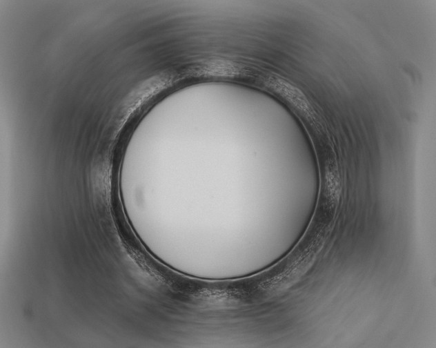 X0000113220534200909101152