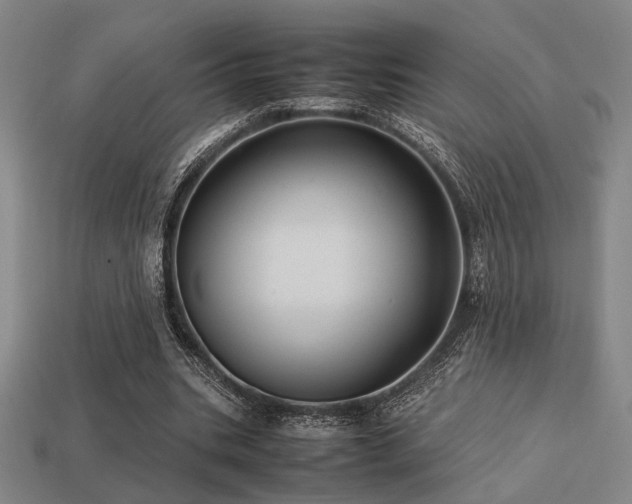 X0000113220535200909101152