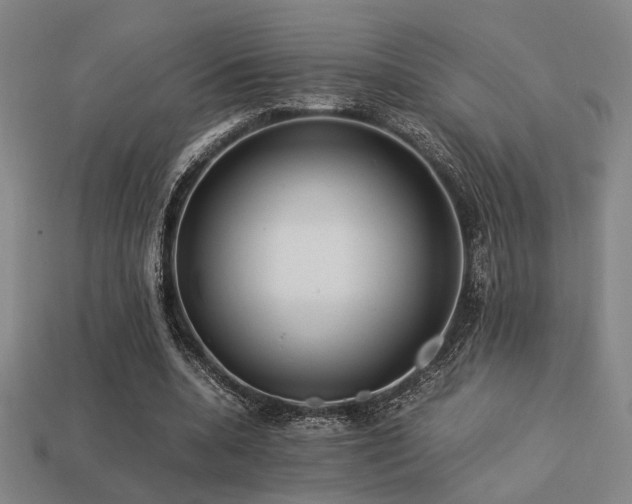 X0000113220536200909101152