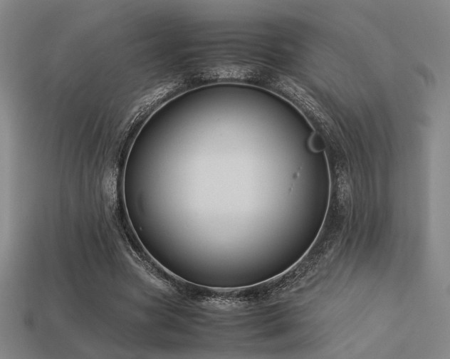 X0000113220537200909101152