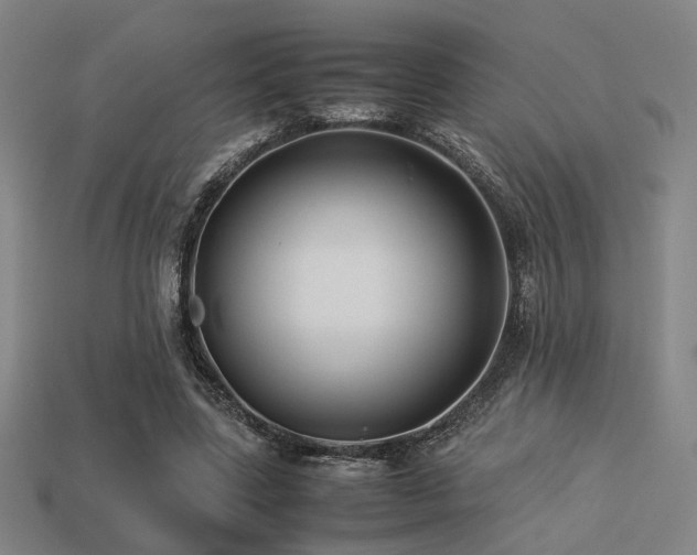 X0000113220539200909101152