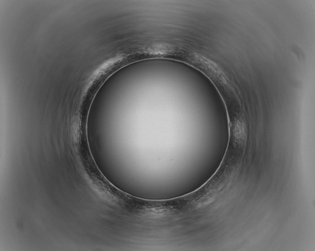 X0000113220540200909101152