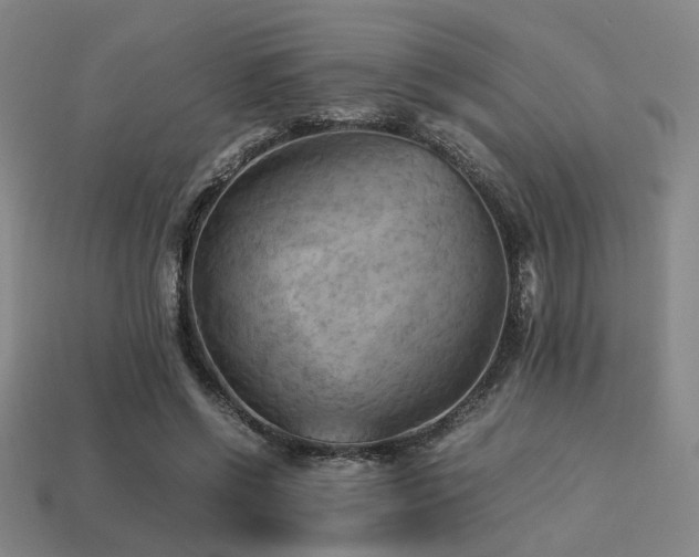 X0000113220542200909101152