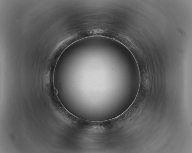 X0000113220543200909101152