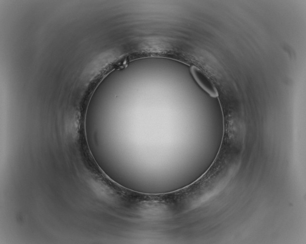 X0000113220544200909101152