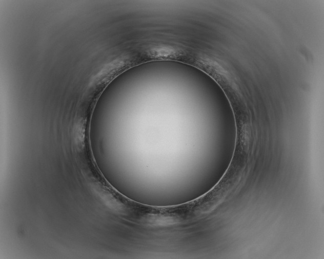 X0000113220545200909101152