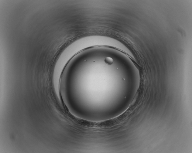X0000113220546200909101152