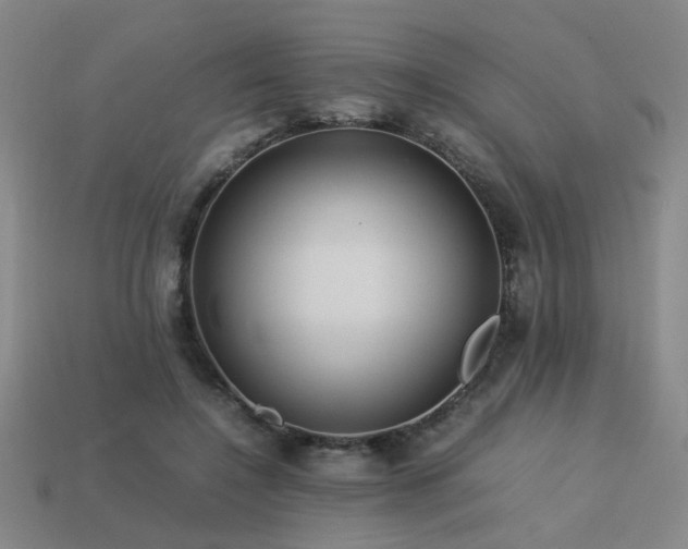 X0000113220548200909101152