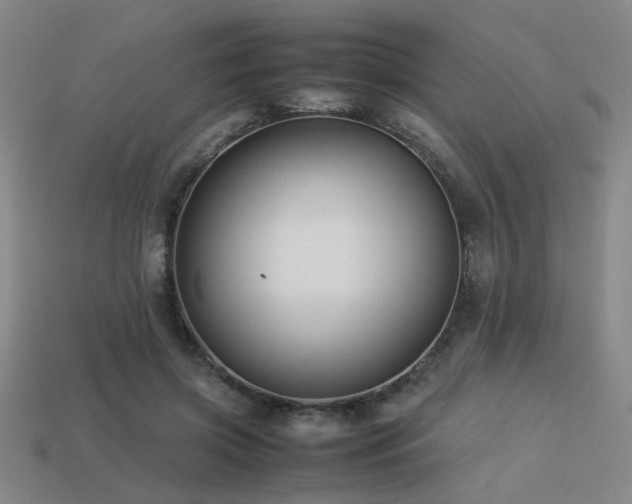 X0000113220549200909101152