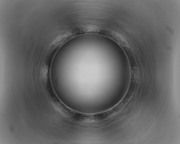 X0000113220550200909101152