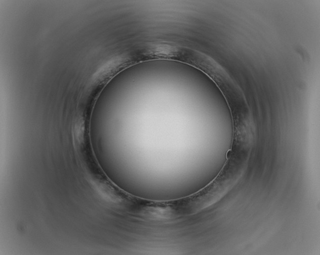 X0000113220552200909101152