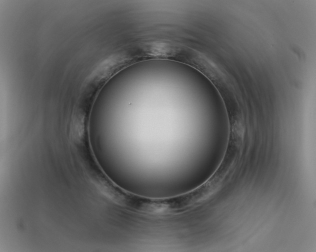 X0000113220554200909101152