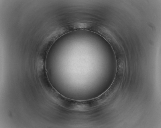 X0000113220555200909101152