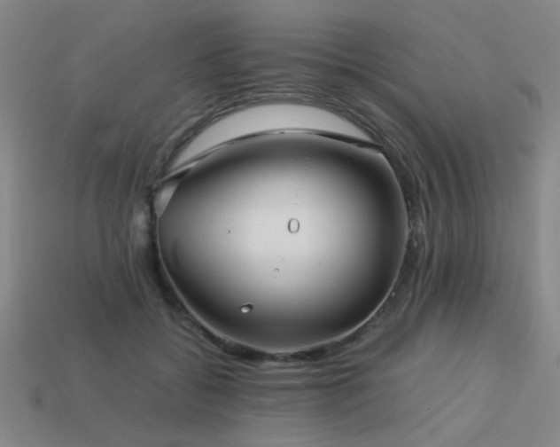 X0000113220556200909101152