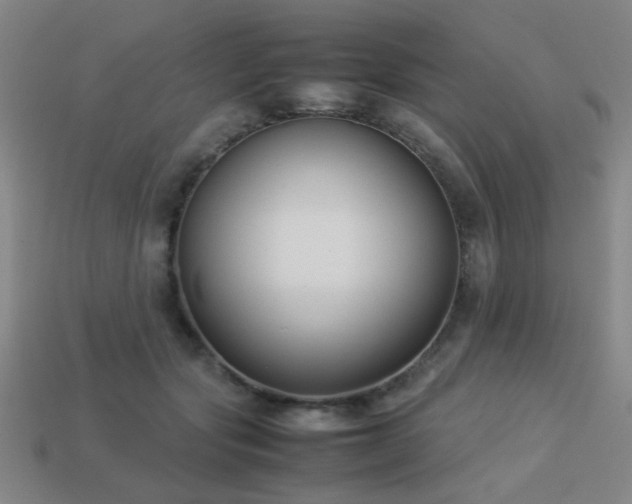 X0000113220557200909101152