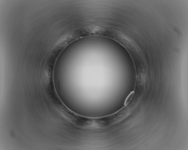 X0000113220558200909101152
