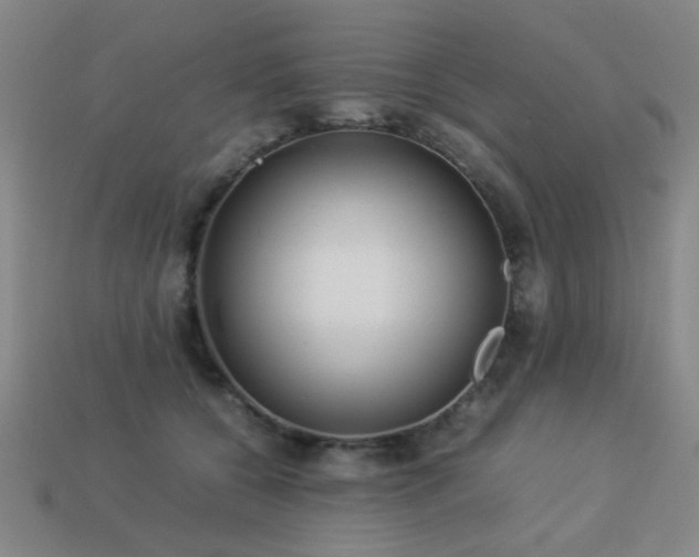 X0000113220560200909101152