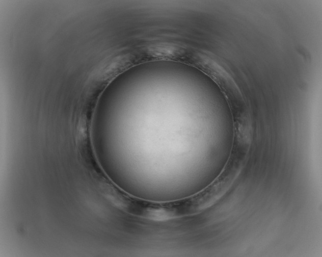 X0000113220561200909101152