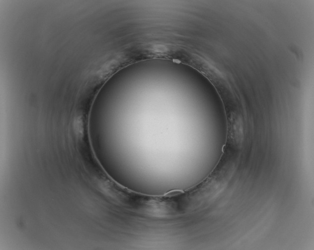 X0000113220562200909101152