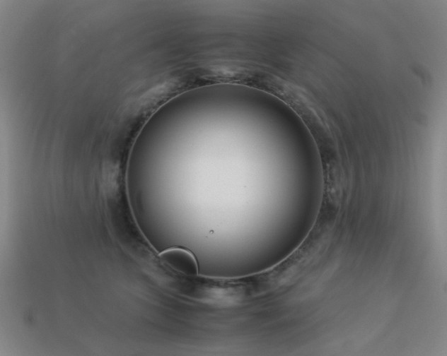 X0000113220563200909101152