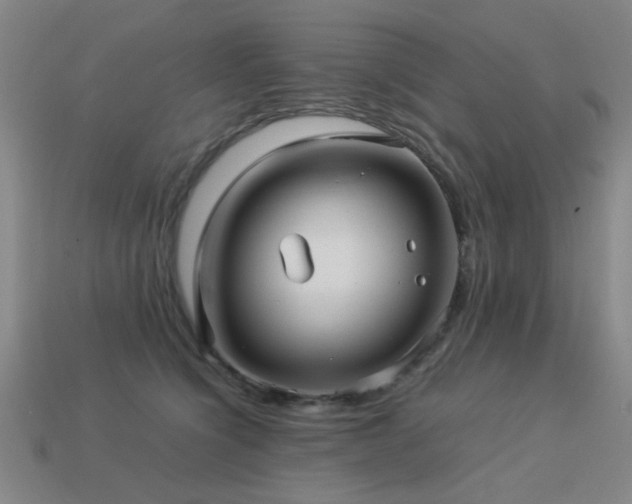 X0000113220564200909101152