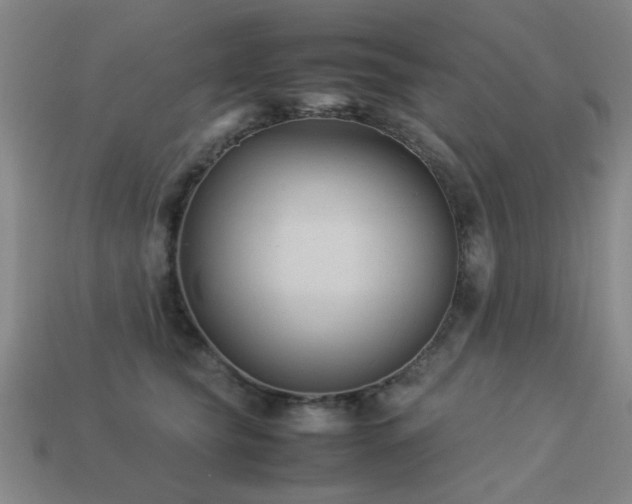 X0000113220565200909101152