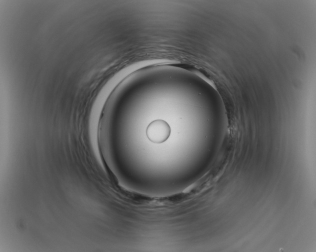 X0000113220566200909101152