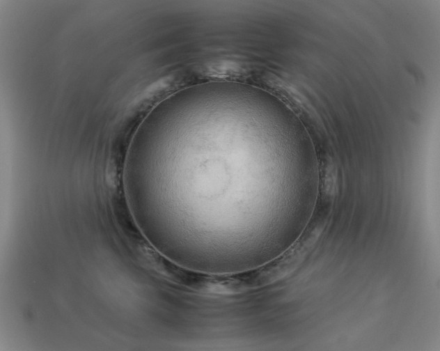 X0000113220569200909101152