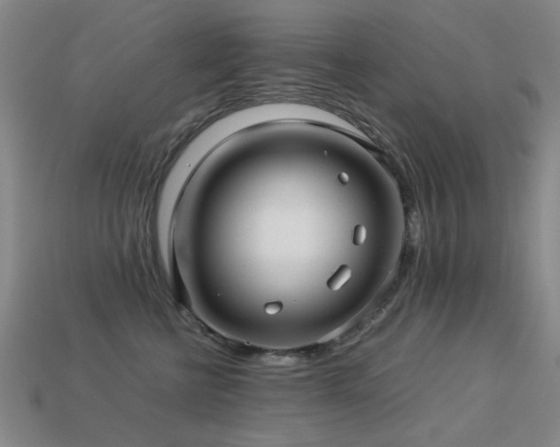 X0000113220570200909101152