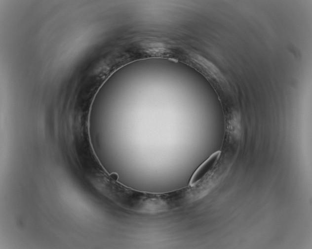 X0000113220572200909101152