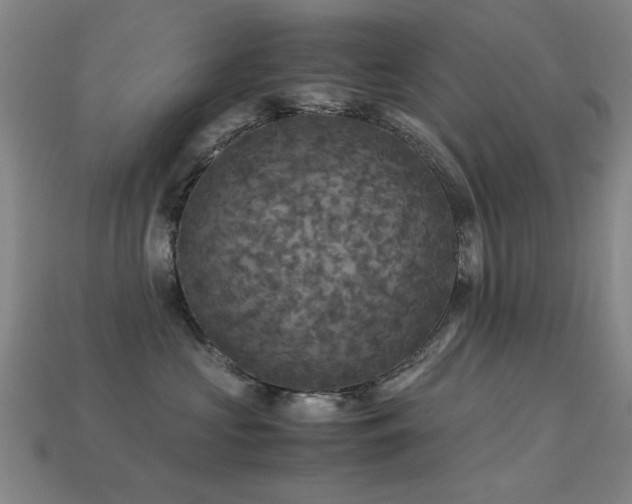 X0000113220573200909101152
