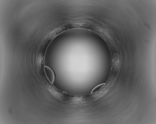 X0000113220574200909101152