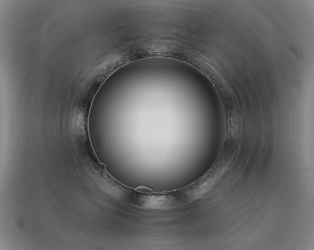 X0000113220575200909101152