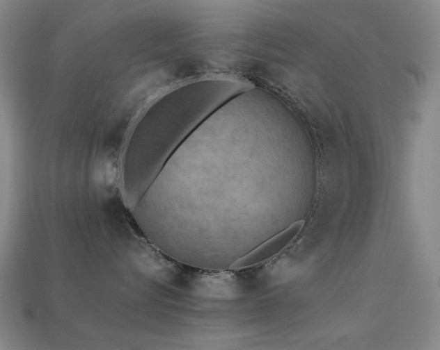 X0000113220576200909101152