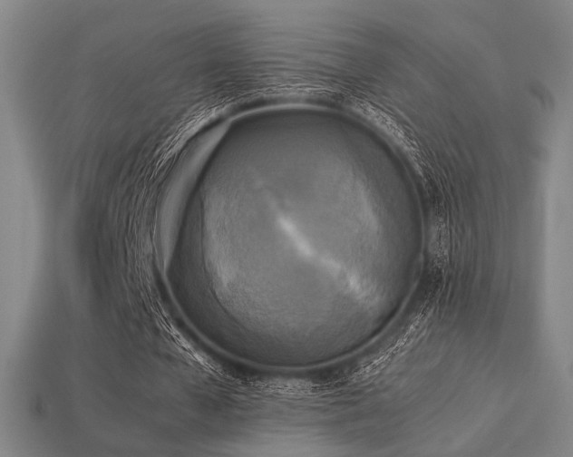 X0000113220577200909101152
