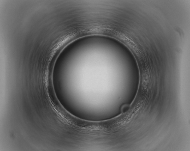 X0000113220578200909101152