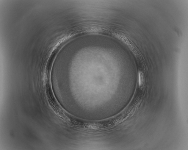 X0000113220579200909101152