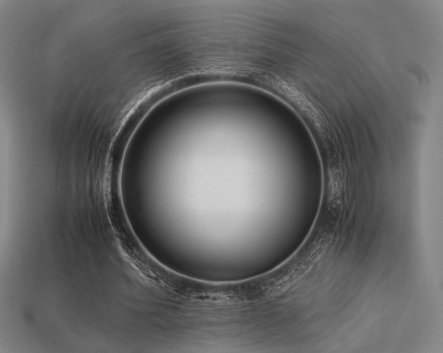 X0000113220580200909101152