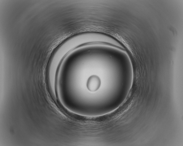 X0000113220581200909101152