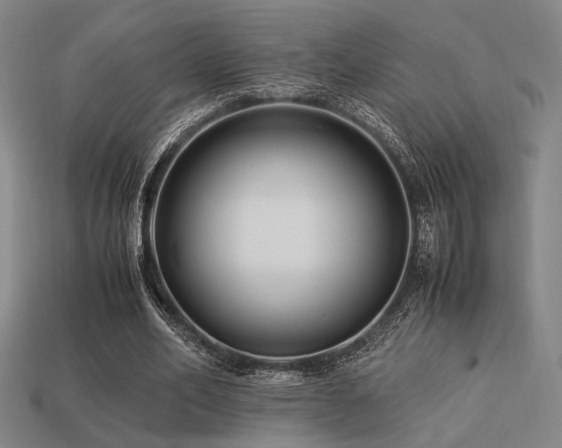 X0000113220582200909101152