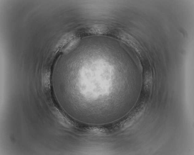 X0000113220585200909101152