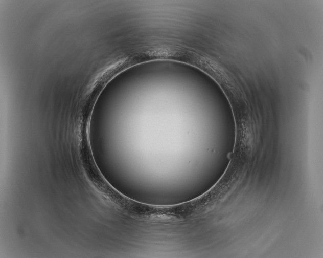 X0000113220586200909101152