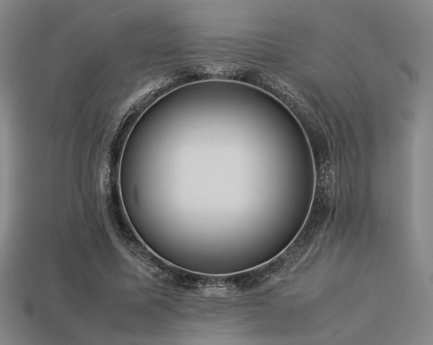 X0000113220587200909101152