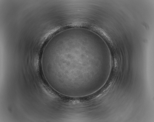 X0000113220588200909101152